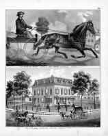 Horse Guy Miller, Dan Sayer, Unionville, M.S. Hayne, Orange County, N.Y.